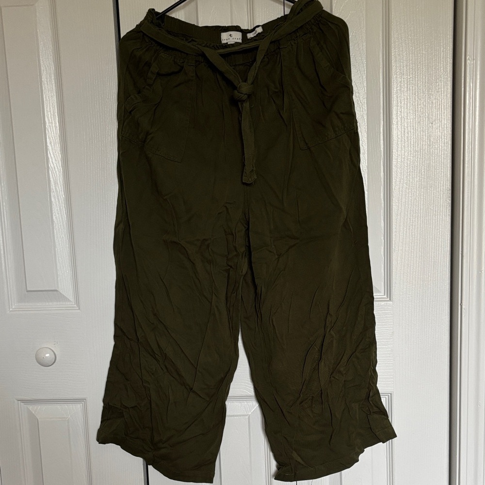 True Craft Olive Wide Leg Pants